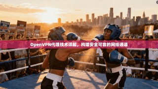 OpenVPN代理技术详解，构建安全可靠的网络通道
