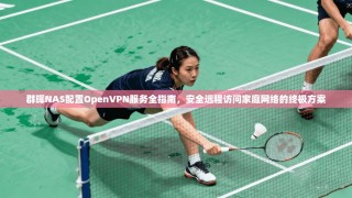 群晖NAS配置OpenVPN服务全指南，安全远程访问家庭网络的终极方案