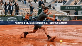 合法合规上网，远离非法翻墙工具—网络工程师的忠告