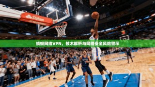 蜻蜓网络VPN，技术解析与网络安全风险警示