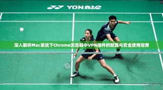 深入解析Mac系统下Chrome浏览器中VPN插件的配置与安全使用指南