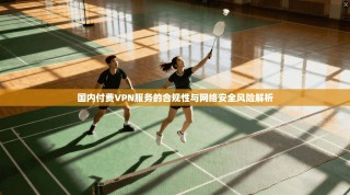 国内付费VPN服务的合规性与网络安全风险解析