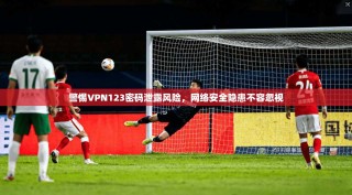 警惕VPN123密码泄露风险，网络安全隐患不容忽视