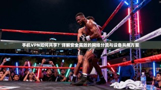 手机VPN如何共享？详解安全高效的网络分流与设备共用方案