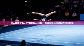 深入解析IPSec VPN与WolfSSL，构建安全远程访问的现代方案