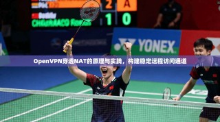 OpenVPN穿透NAT的原理与实践，构建稳定远程访问通道