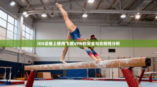iOS设备上使用飞翔VPN的安全与合规性分析