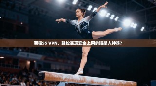 萌猫SS VPN，轻松实现安全上网的喵星人神器？