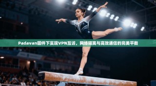 Padavan固件下实现VPN互访，网络隔离与高效通信的完美平衡