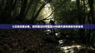 七日杀玩家必看，如何通过科学配置VPN提升游戏体验与安全性