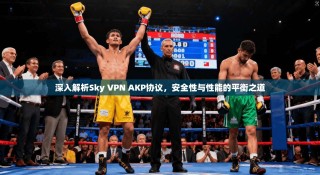 深入解析Sky VPN AKP协议，安全性与性能的平衡之道