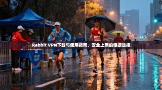 Rabbit VPN下载与使用指南，安全上网的便捷选择