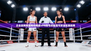 企业级网络架构中网通VPN账号的配置与安全实践指南