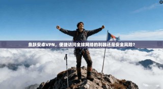 鱼跃安卓VPN，便捷访问全球网络的利器还是安全风险？