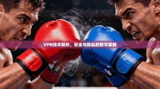 VPN技术解析，安全与隐私的数字盾牌