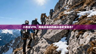 小黑盒VPN，网络自由的利器还是安全隐患？