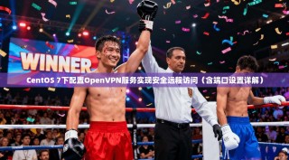 CentOS 7下配置OpenVPN服务实现安全远程访问（含端口设置详解）