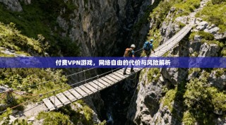 付费VPN游戏，网络自由的代价与风险解析