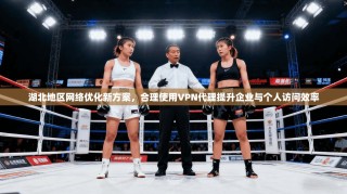 湖北地区网络优化新方案，合理使用VPN代理提升企业与个人访问效率