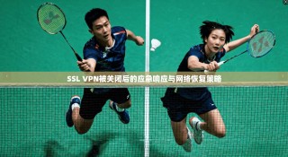 SSL VPN被关闭后的应急响应与网络恢复策略