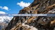 SSL VPN故障排查与修复实战指南，从基础配置到高级排错