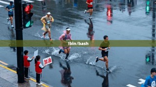 !bin/bash