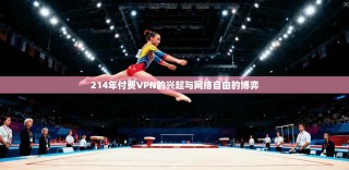 214年付费VPN的兴起与网络自由的博弈