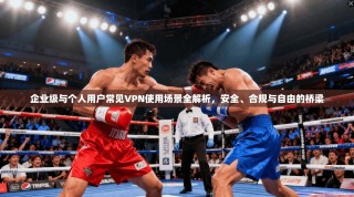 企业级与个人用户常见VPN使用场景全解析，安全、合规与自由的桥梁