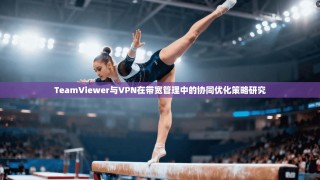 TeamViewer与VPN在带宽管理中的协同优化策略研究
