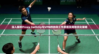 深入解析Proxy Switchy与VPN的协同工作原理及网络优化策略