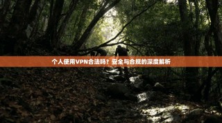 个人使用VPN合法吗？安全与合规的深度解析