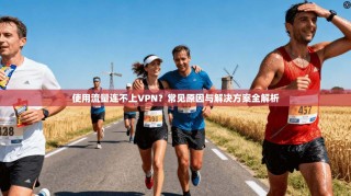 使用流量连不上VPN？常见原因与解决方案全解析