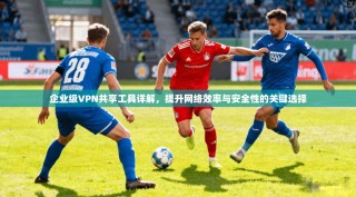 企业级VPN共享工具详解，提升网络效率与安全性的关键选择