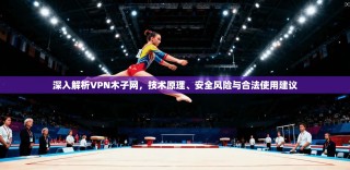 深入解析VPN木子网，技术原理、安全风险与合法使用建议
