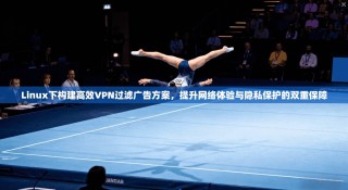 Linux下构建高效VPN过滤广告方案，提升网络体验与隐私保护的双重保障