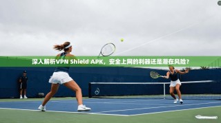 深入解析VPN Shield APK，安全上网的利器还是潜在风险？