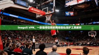 Seagull VPN，一款值得信赖的网络隐私保护工具解析