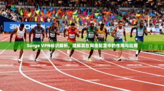 Surge VPN标识解析，理解其在网络配置中的作用与应用