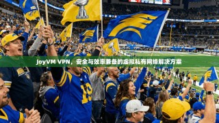 JoyVM VPN，安全与效率兼备的虚拟私有网络解决方案