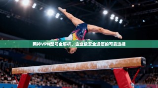 网神VPN型号全解析，企业级安全通信的可靠选择