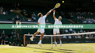 深入解析VPN CAT官网，安全、稳定与高效网络连接的首选平台