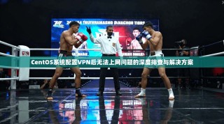 CentOS系统配置VPN后无法上网问题的深度排查与解决方案