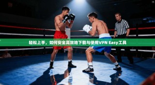 轻松上手，如何安全高效地下载与使用VPN Easy工具