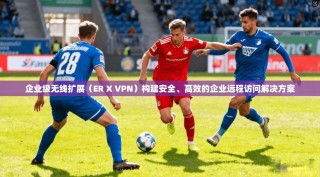 企业级无线扩展（ER X VPN）构建安全、高效的企业远程访问解决方案