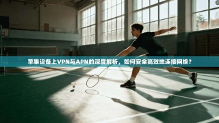 苹果设备上VPN与APN的深度解析，如何安全高效地连接网络？