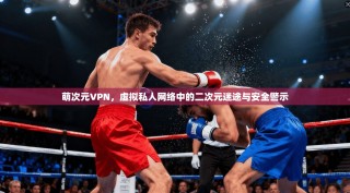 萌次元VPN，虚拟私人网络中的二次元迷途与安全警示