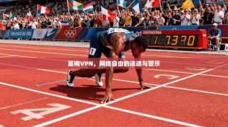 墓梅VPN，网络自由的迷途与警示