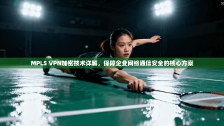 MPLS VPN加密技术详解，保障企业网络通信安全的核心方案