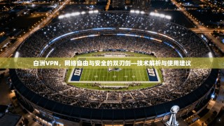 白洲VPN，网络自由与安全的双刃剑—技术解析与使用建议