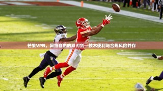 芒果VPN，网络自由的双刃剑—技术便利与合规风险并存